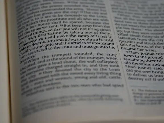 Hejgo Kazino Pagalba